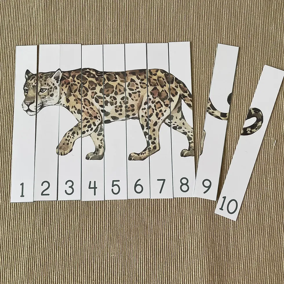 Thumbnail: Rainforest animals printable Puzzles Number sequence
