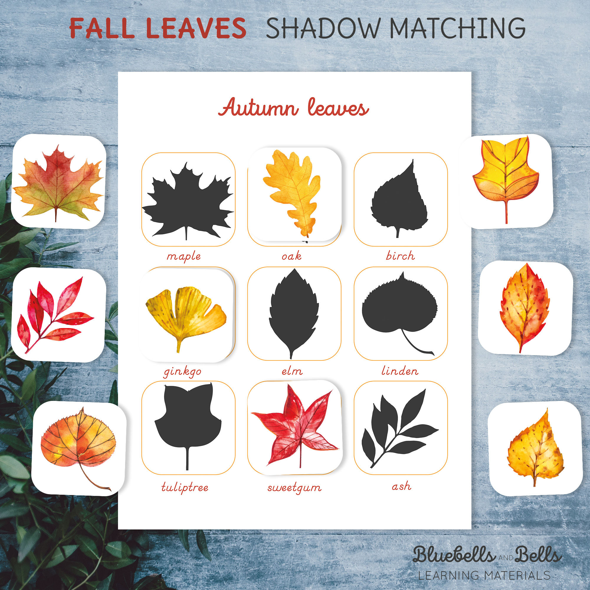 Fall preschool Leaves shadow matching