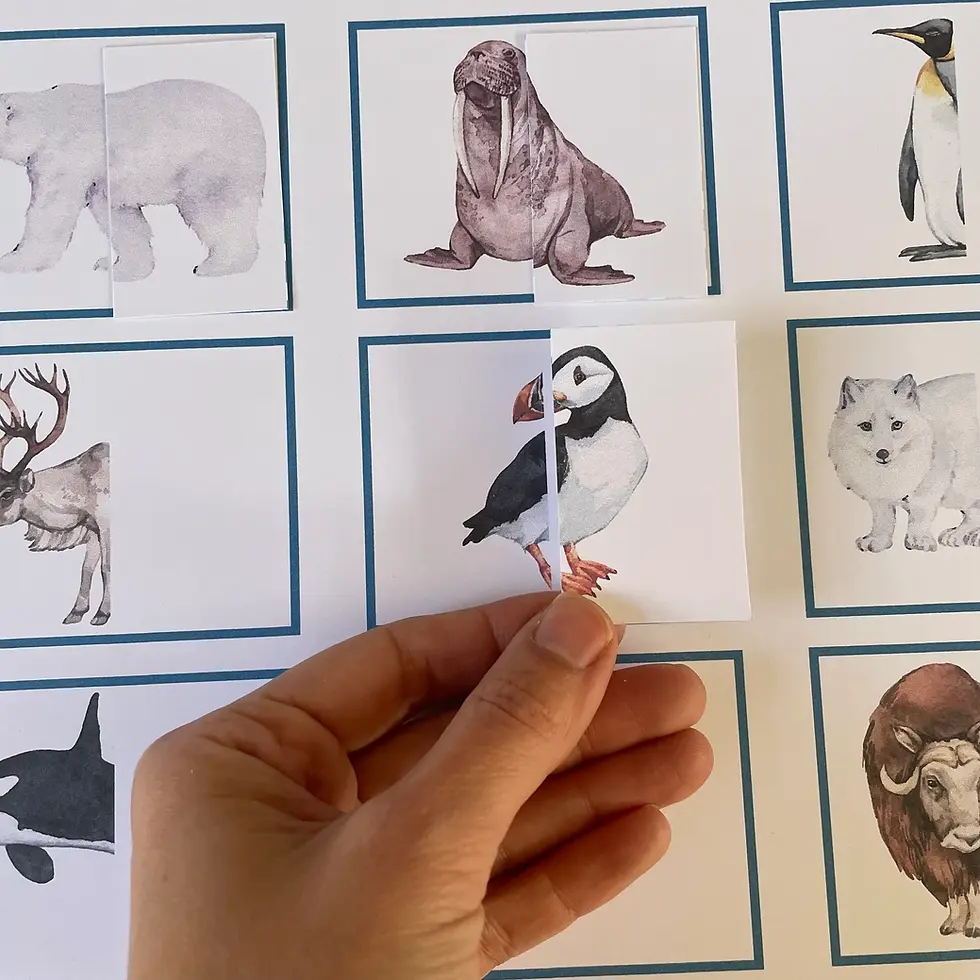 Thumbnail: Montessori toddler puzzle printable Arctic animals Halves matching