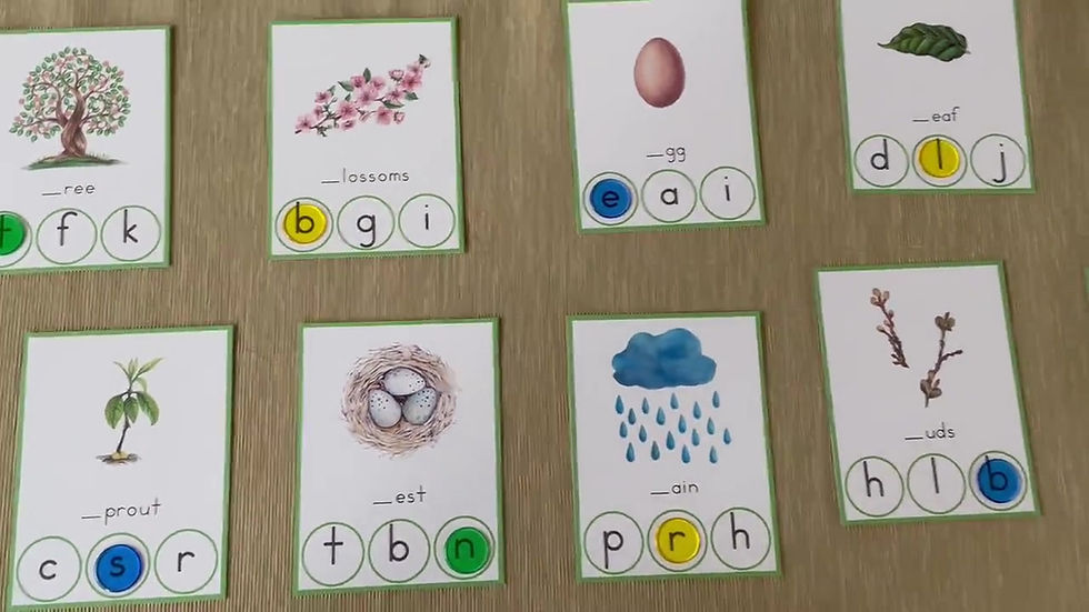 Spring Phonics printable Initial sound clip cards