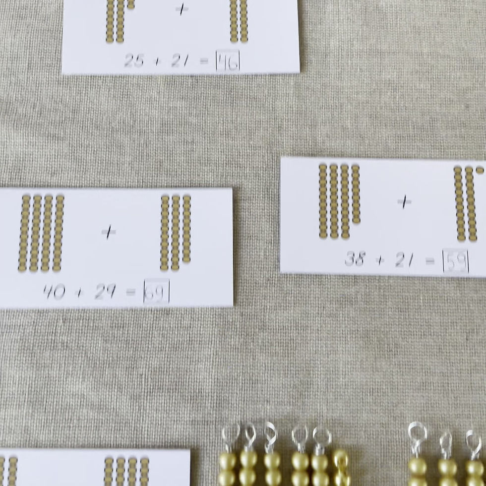 Montessori Golden Beads Addition Static to 100