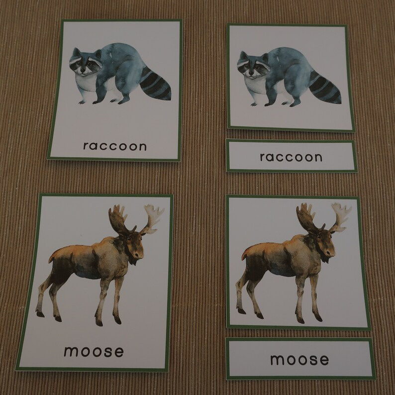 Thumbnail: Woodland animals Montessori 3-part cards printable