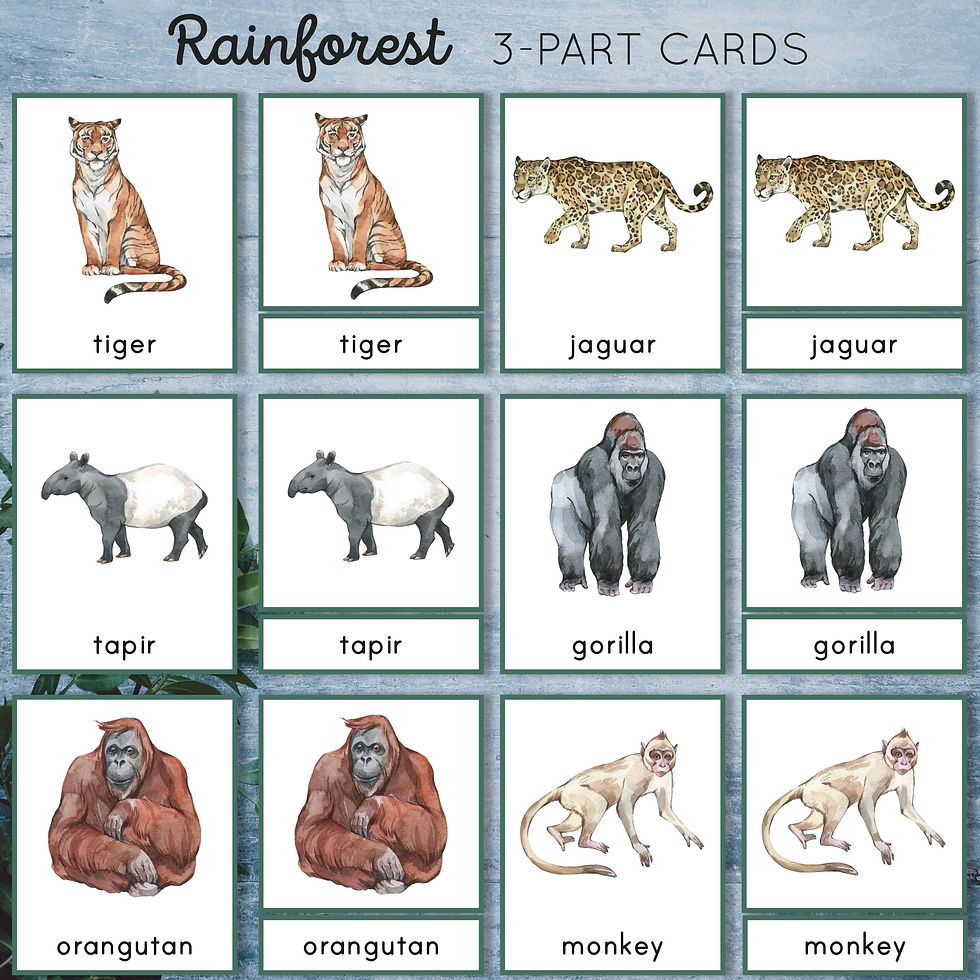 Thumbnail: Rainforest animal 3-part cards. Montessori pre-reading printable.