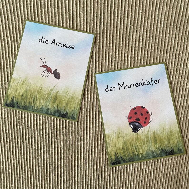 Thumbnail: Insekten druckbare Bildkarten