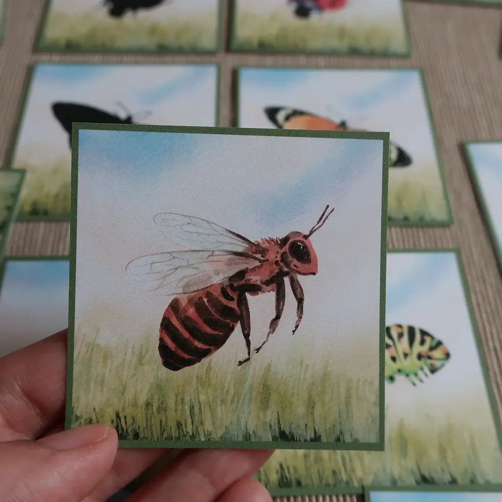 Thumbnail: Montessori toddler printable Insect Shadow matching cards