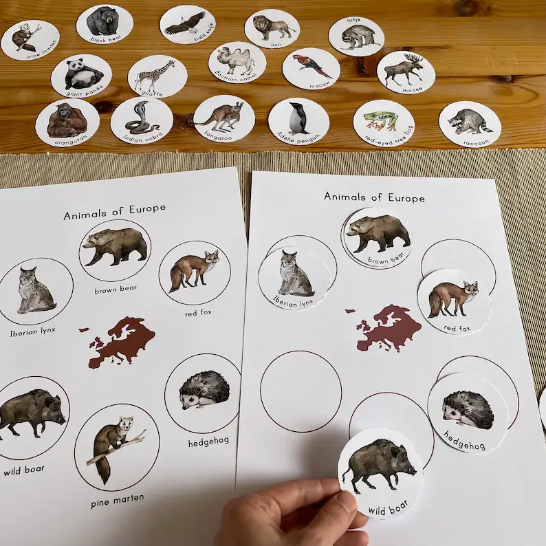 Thumbnail: Montessori Animals of the Continents Sorting activity