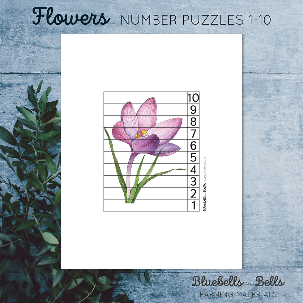 Preschool spring printable Flowers number puzzle