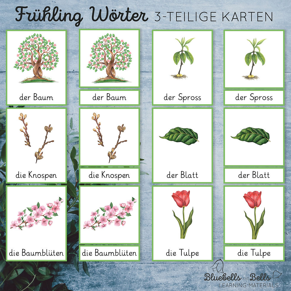 Frühling Bildkarten Montessori 3-teilige Karten Kindergarten. Lesespiel.