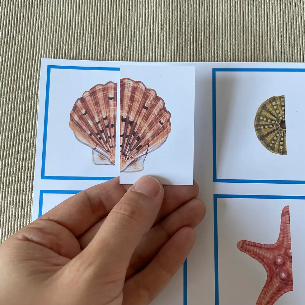 Thumbnail: Montessori summer printable Seashells Halves matching toddler puzzle