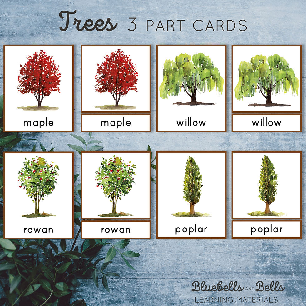 Thumbnail: Trees Montessori Three part cards printable