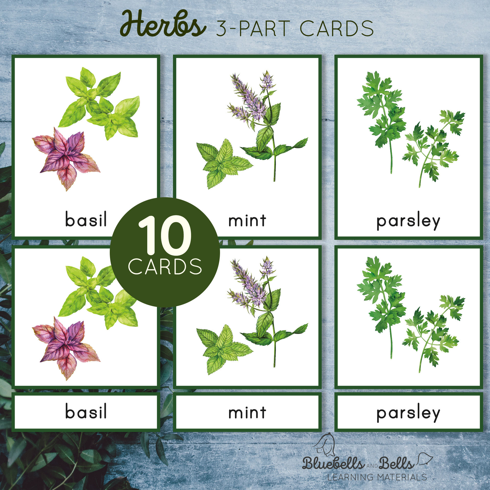 Herbs Montessori 3-part cards
