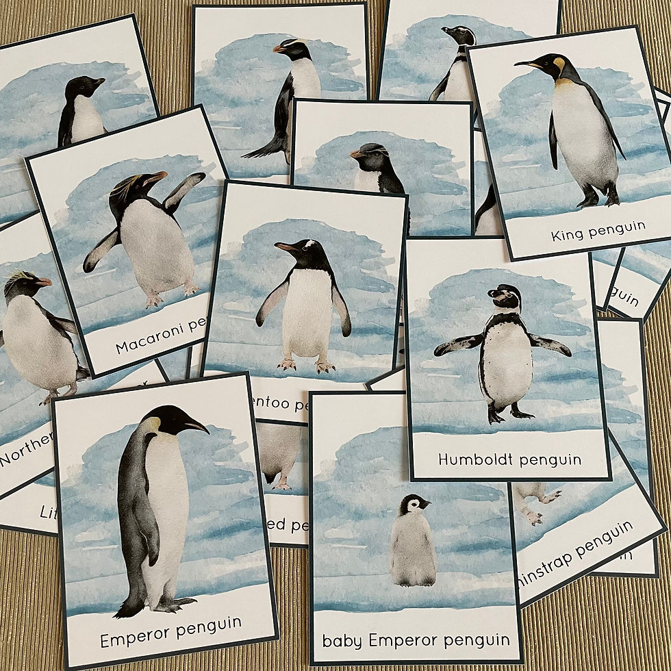 Thumbnail: Penguins of the World cards
