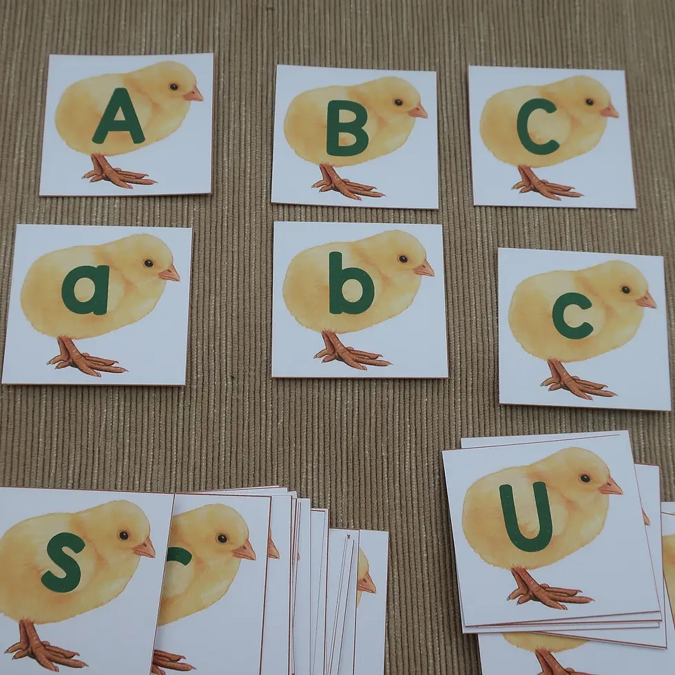 Thumbnail: Letter matching Spring Chick and Egg. Letter recognition activity