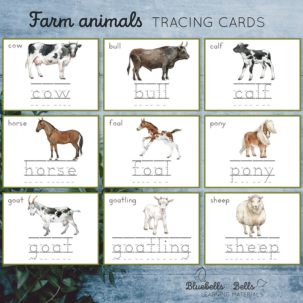 Tracing worksheets Farm animals. Handwriting printable  preschool kindergarten.