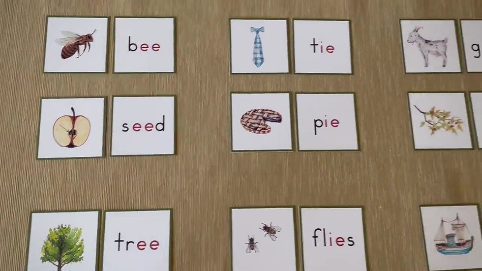 Digraph cards for matching Picture and word. Vowel digraph Montessori.