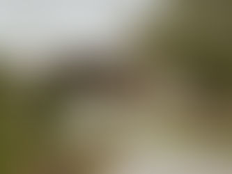 Outdoor Wedding Space with Rain Plan