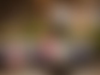 Peoples are gather for event.