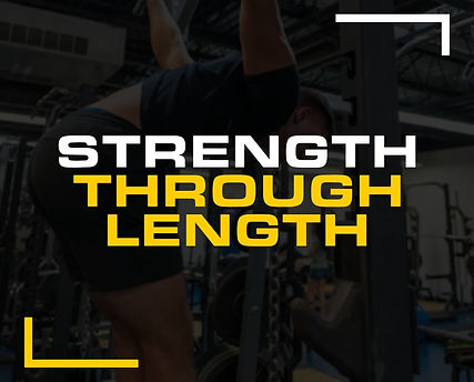 jackedjavelin 07 copy.jpg