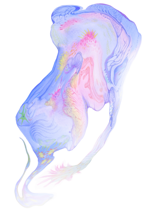 未命名作品 107.png