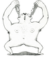 img20250317_12271820.png