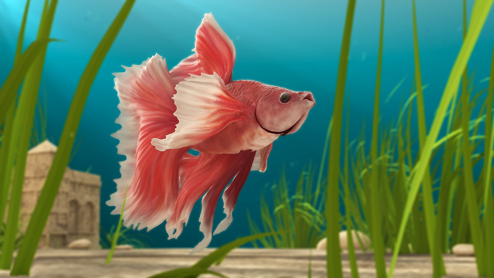 khass visuals katrina hass dumbo betta fish 3d sculpt model zbrush mscbmc