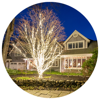 Res – Tree.png
