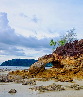 9c58a52d-cd7b-4630-a345-e22f6ab085fb_edited.jpg