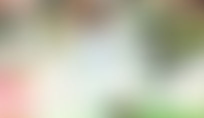 Murió el exfutbolista colombiano Freddy Rincón producto de un accidente en Cali