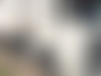 Bajó del camión en la ruta para orinar y le robaron 5 millones de pesos