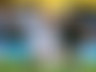 Atlético perdió frente a Defensa y Justicia y quedó afuera de la Copa Sudamericana