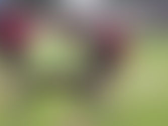 El viernes arranca la venta de entradas para ver al Santo