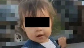 Murió una nena de 2 años tras comer una galleta envenenada que le dejaron a su perro