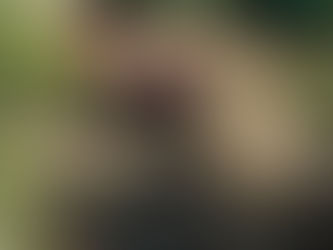 Un joven confesó que mató y descuartizó a su mamá y a su tía