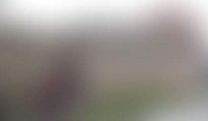 Un hombre es devoto del diablo y decoró su casa con 12 esculturas escalofriantes