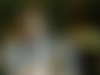 Atlético ganó en Mar del plata