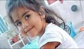 A un año de la desaparición de Guadalupe Lucero: qué se sabe hasta el momento