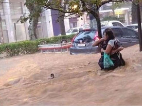 Al menos 23 muertos por las inundaciones en Río de Janeiro