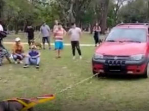 Puso un Pitbull a tirar de un auto y ahora es investigado