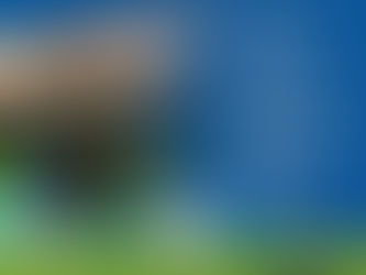 La cartelera semanal en el Teatro Municipal “Rosita Ávila”