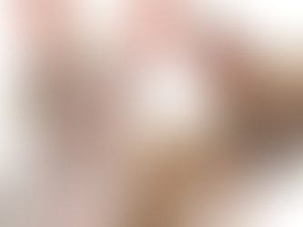 Un pueblo inglés aterrorizado por dos chihuahuas: los llaman los “hooligans mexicanos”