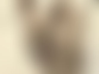 Una abuela perdió a su perro y como no tiene dinero ofreció una pizza de recompensa