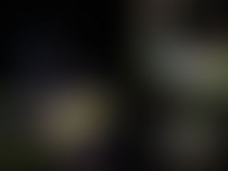 En tres procedimientos, incautaron más de una tonelada de marihuana