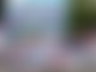 "No legitimen en el Congreso la estafa de Macri y el FMI"