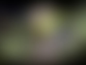 Incautan más de 500 kilos de marihuana en Misiones