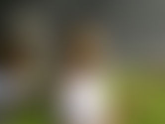 Ganó Atlético y estira diferencias con el segundo