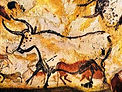 lascaux 1.jpeg