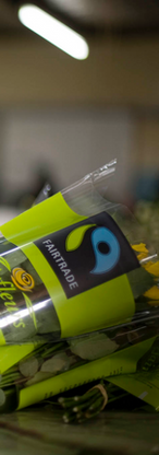 selects bannon valentine 2079_edited.png