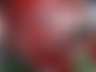 Tặng thẻ câu đố và chia sẻ kỹ năng đọc sách cho trẻ mầm non, 2022