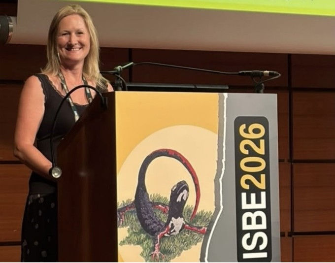 Bats take centre stage at the International Society for Behavioral Ecology conference 2026
