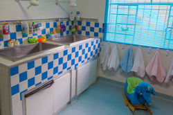 Escola-Koala7